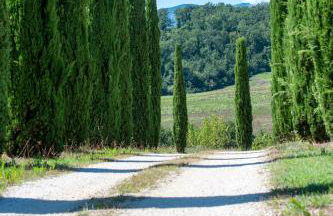 Tenuta di campagna con piscina immersa nel verde - Foto 70