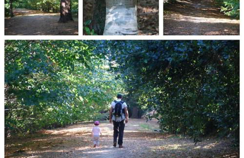 Amazing views over San Sebastian in a family cottage - Foto 21