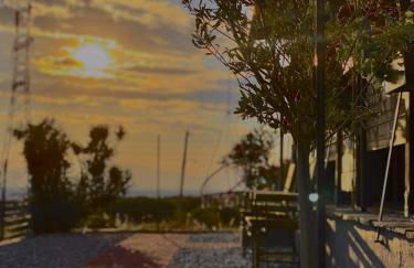 ΛΩΤΟΣ - Photo 32