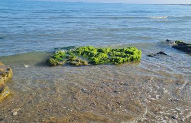 Luxurious Lodging in Bembridge - Photo 13