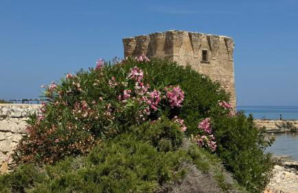 Casa Marisa Villa Vacanza - Foto 75