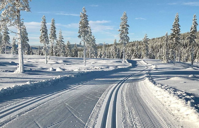 8 Person Holiday Home in Osen - Foto 13