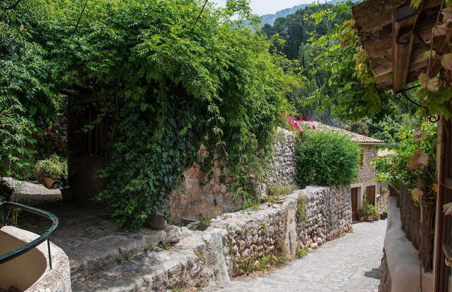 S Olivaret Fornalutx - Photo 23