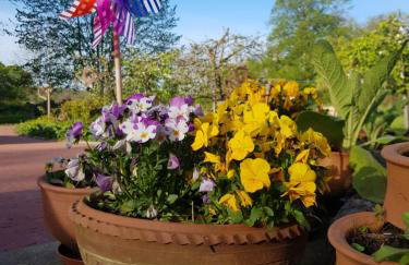 Gandelinka Park Kędrzyno - Foto 24