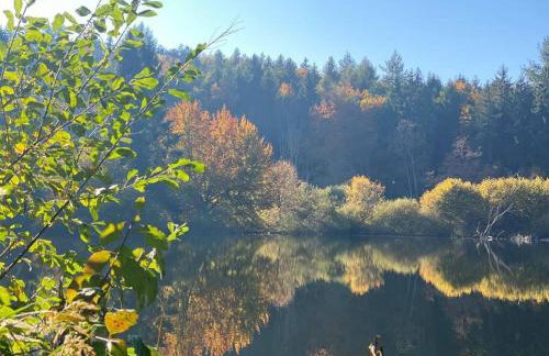 Charismatisch und gemütlich in Güttingen, nah zum Buchensee und Bodensee, tolle Lage - Foto 20