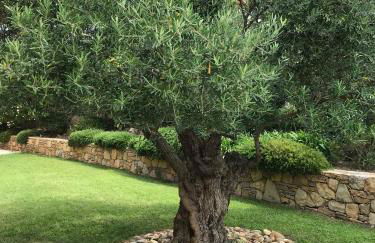 Belle villa dans clos privé - Saint Raphaël Boulouris - Foto 13