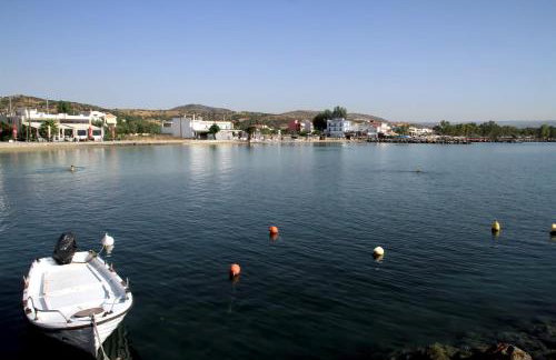 Hotel Stella - Photo 31