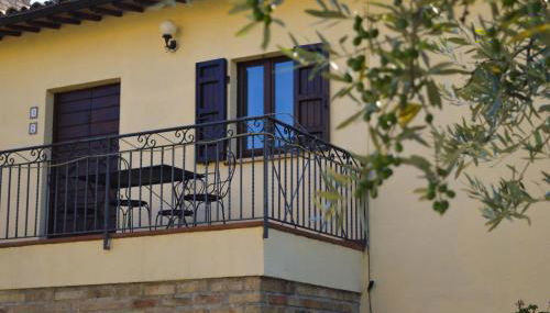 Cardinal Girolamo - Foto 4