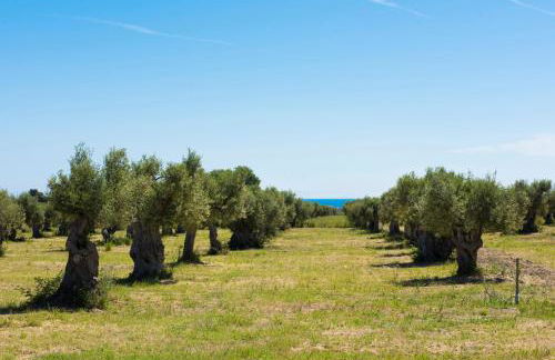 Agriturismo Dattilo - Foto 21