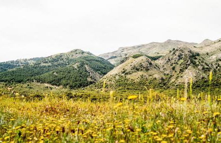 Villa Valparaiso - Photo 59