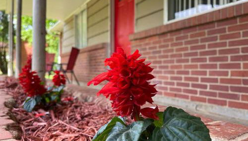 Home Sweet Home For Friends & Family Very Spacious - Foto 3