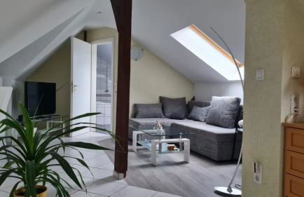 Ferienwohnung Blumenberg DG Karlstraße - Foto 1