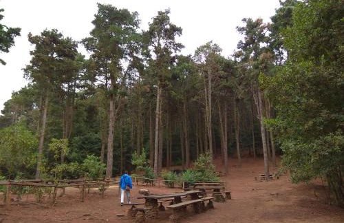 Sunset El Pris - Foto 27