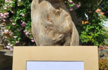 Eulennest Nassau - Photo 14