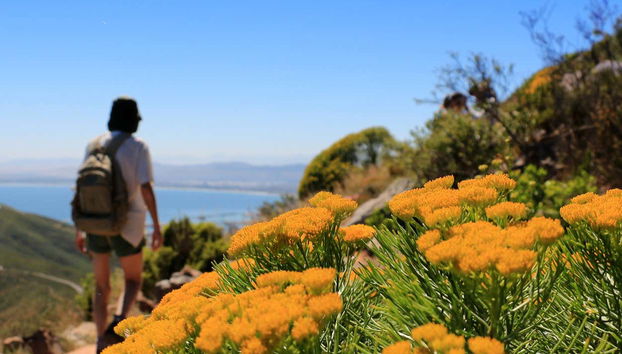 Passeando pela montanha Cabeça de Leão