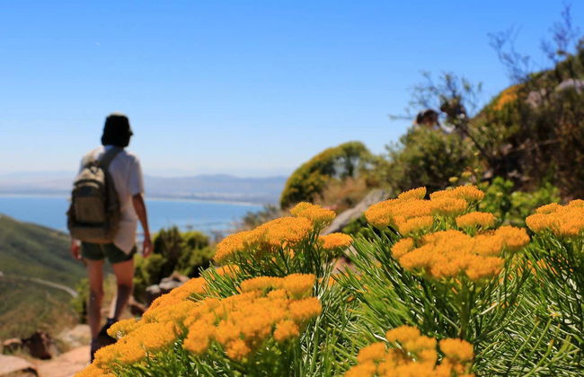 Lion's Head Mountain Hiking Tour - Photo 2