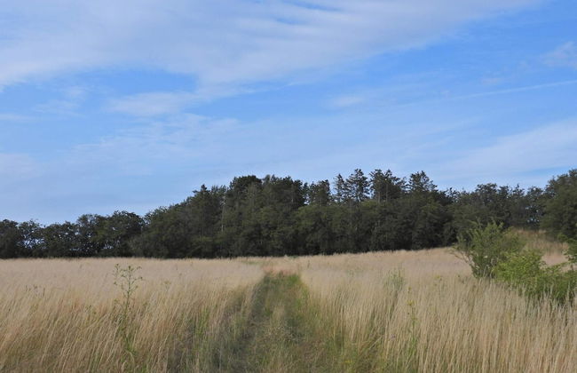 Rustic Holiday Home in Asnæs near Sea - Foto 8