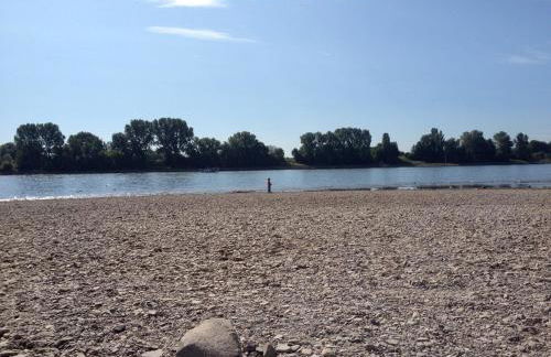 Cologne Country Lodge - Foto 61