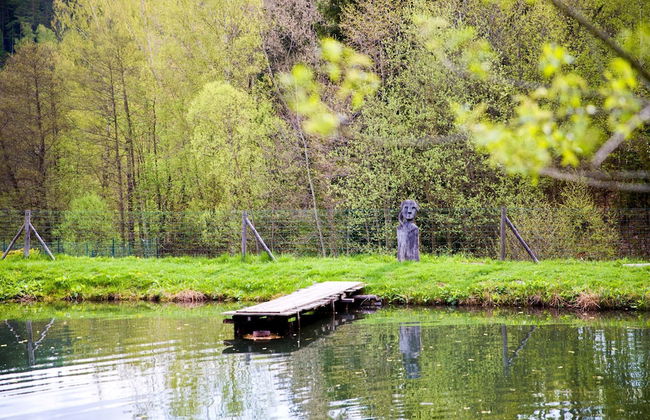 Zacler Kza280-ve in Prkennydul - Photo 38