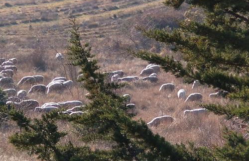 Maison de village, piscine, Colorado - Foto 29