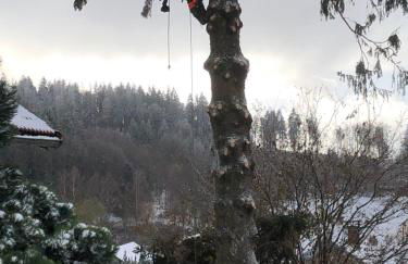 Chalet Belfahy - Foto 12