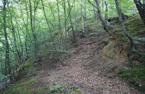 Villa Barwald - Foto 33