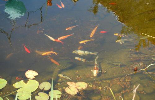 Ferienwohnung Grosso - Foto 55