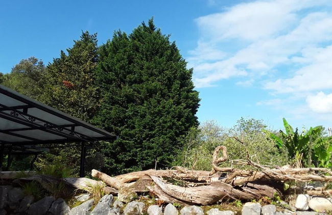 Bosque de Cuevas - Foto 45