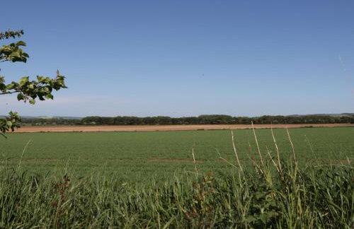 Jean's Place - Foto 41