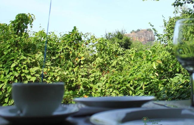 Thick forest sigiriya - Photo 24