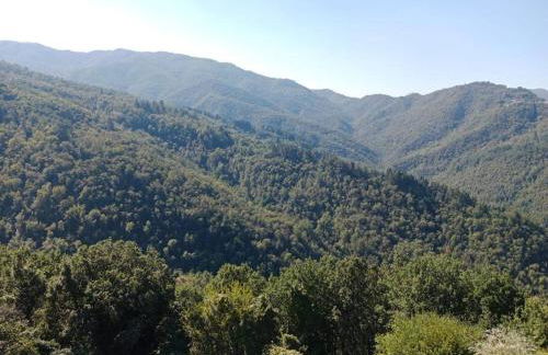 Preciosa casa en la Toscana con piscina - Foto 17