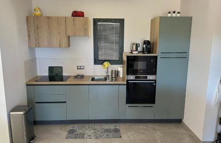 Un air de paradis à Corbara - Foto 8