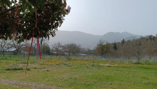 Erymanthos country home - Foto 3