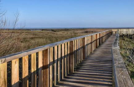 Fare Bambou - Foto 47