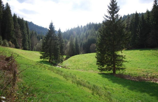 Ferienwohnung im Malerischen Kniebis - Foto 19