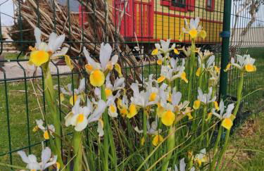 roulotte du domaine des Chevrettes - Foto 11