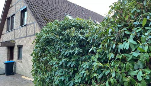 Ferienwohnung Goder 95168 - Foto 2