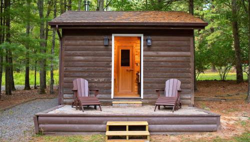 Poconos True Log Cabin with Sauna, Movie Theather, Hot Tub & Fire Pit! - Photo 5