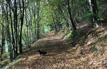 Haus Johannes - Foto 19