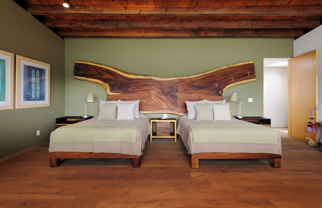 Las Abejas - Foto 20