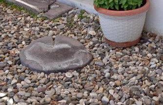 Tzamaros Studios - Foto 36