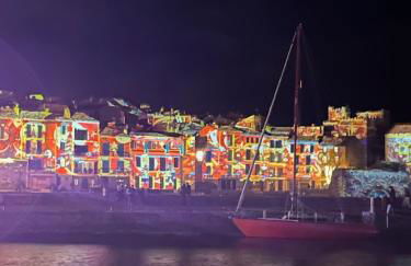 COLLIOURE tres bel appart a 150 metres des plages avec jardin prive et parking dans residence securisee - Foto 23