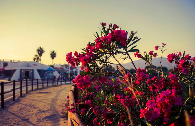 Kione Villamar Habitat - Foto 49