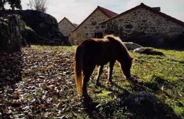 Casa das Japoneiras - Foto 35
