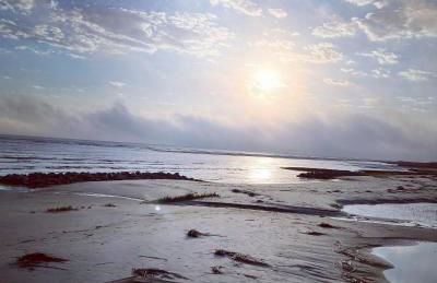 The Islander- Luxurious Island Oasis - Foto 54