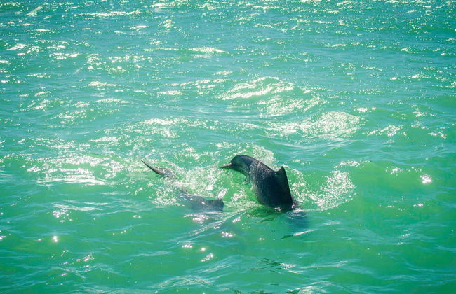 Escursione a Pipa - Foto 4