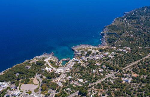 Pajara Rugiada - Foto 49