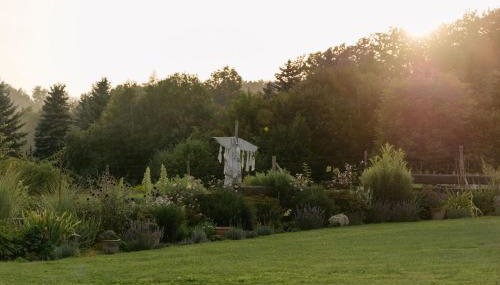 Lawendowy Raj - Foto 4