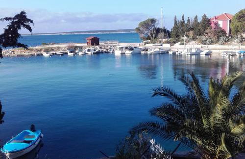 Apartments Dvorski - Photo 1