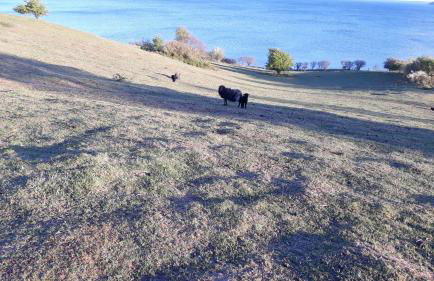 Traumblick und Komfort - lichtdurchflutete 85 qm Wohnung nahe Südstrand Göhren inklusive Schwimmbad und Sauna im AHOI Sellin - Foto 70